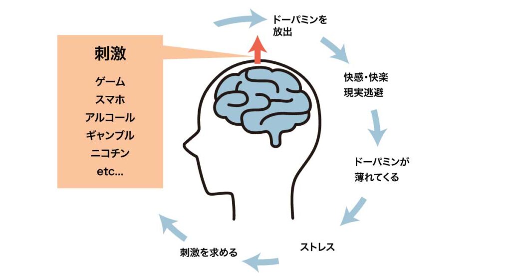 ドーパミン分泌の仕組み